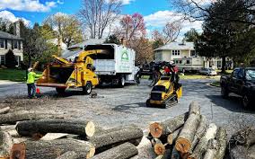 Best Leaf Removal  in Benton City, WA