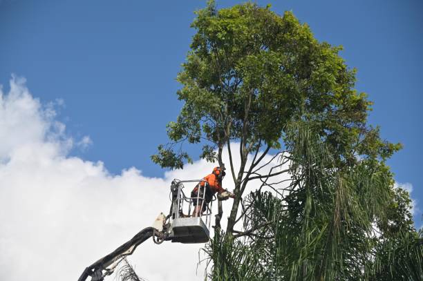 Best Lawn Maintenance Plans  in Benton City, WA